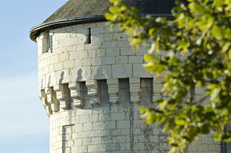 Chateau De Marcay Экстерьер фото