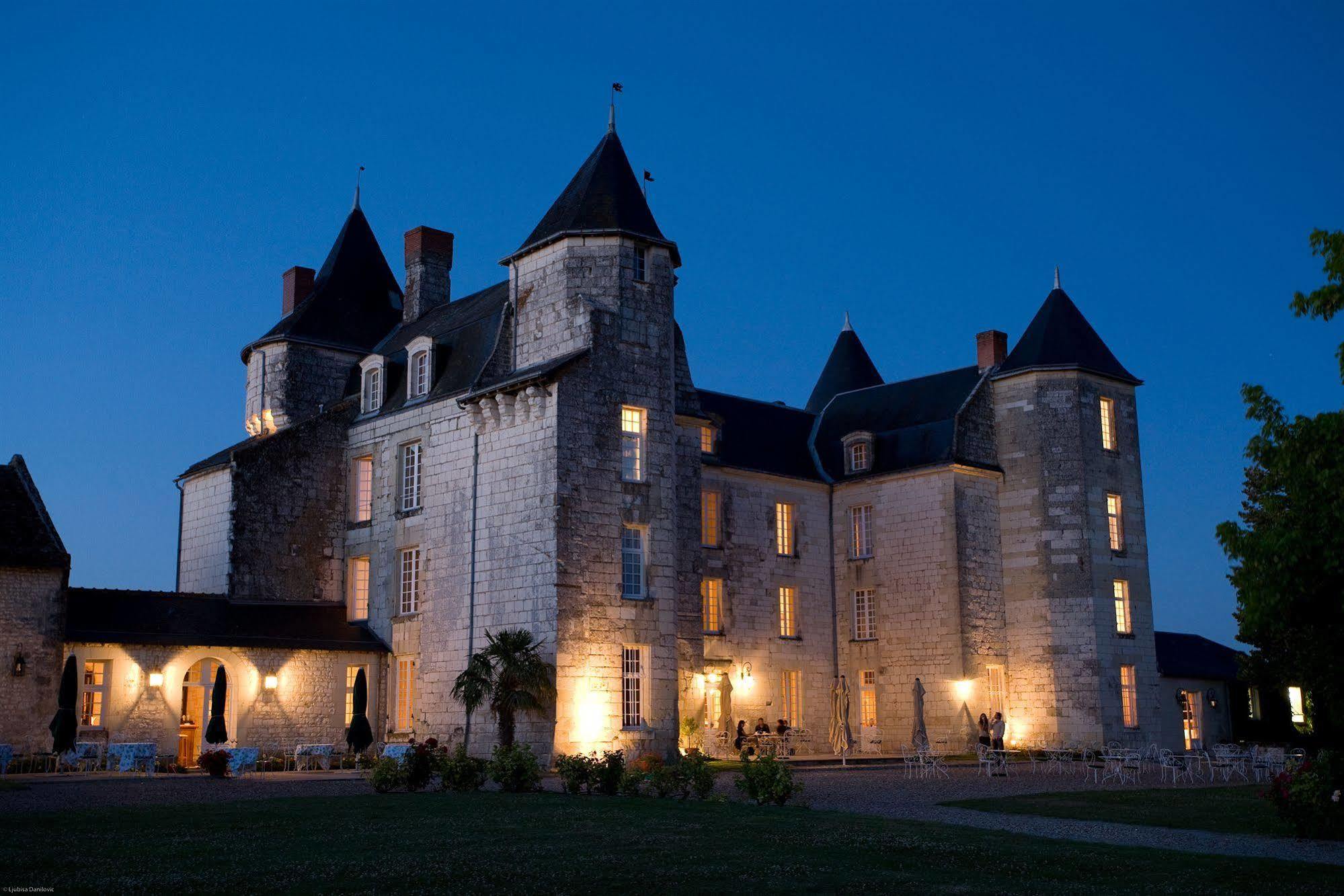 Chateau De Marcay Экстерьер фото